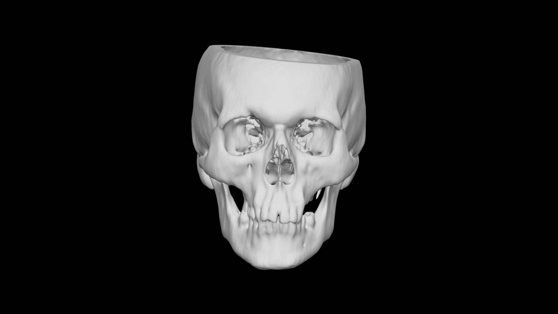 Skull Male 50yo