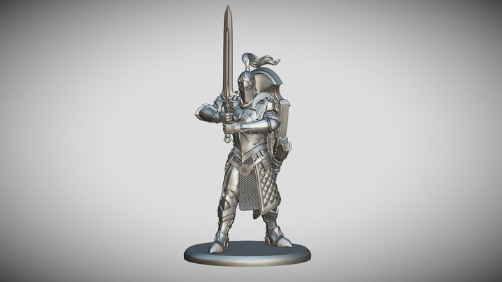 Paladin, Order of the Sun Miniature 3D Model