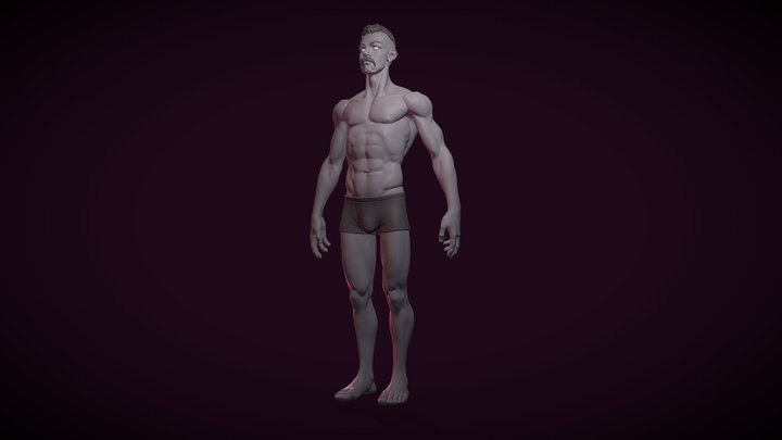 Stylized anatomy sculpt practice 3D Model