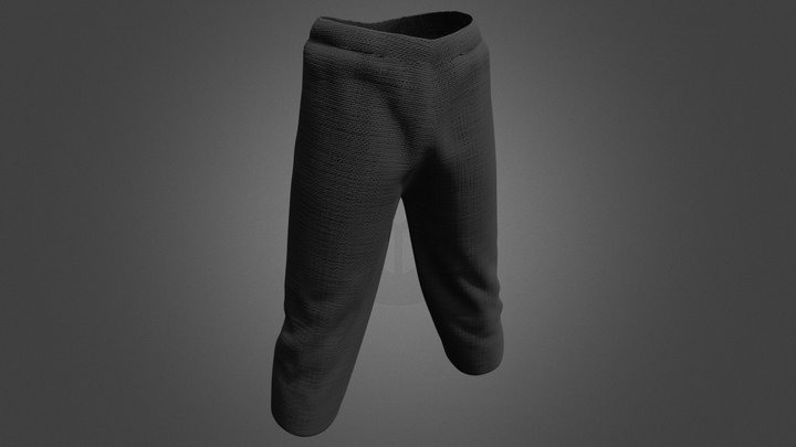 Pants - Pantalones 3D Model