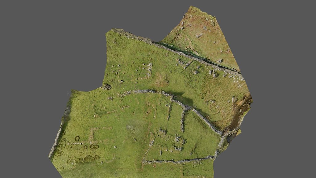 Holwick Deserted Medieval Settlement (South)