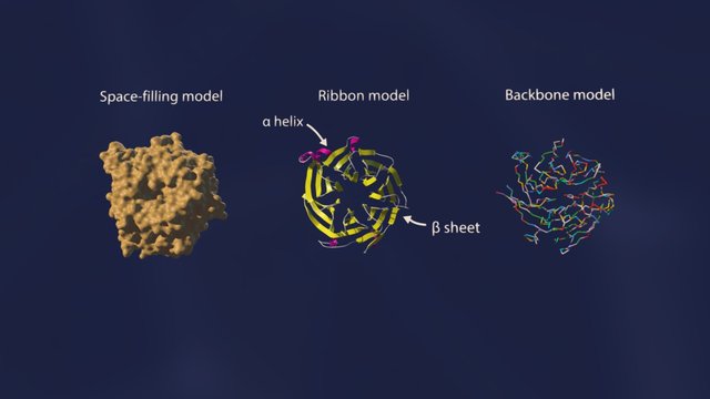 RBBP4 3D Model