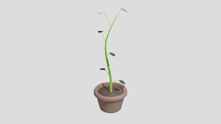 PlantFinal 3D Model