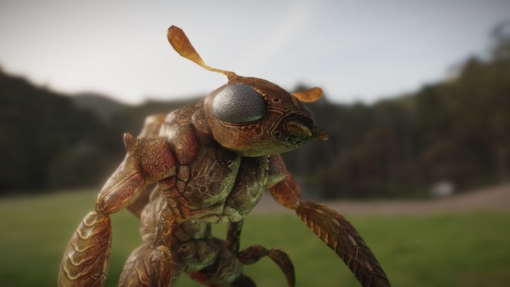 Antis insect monster Low Poly 3D Model