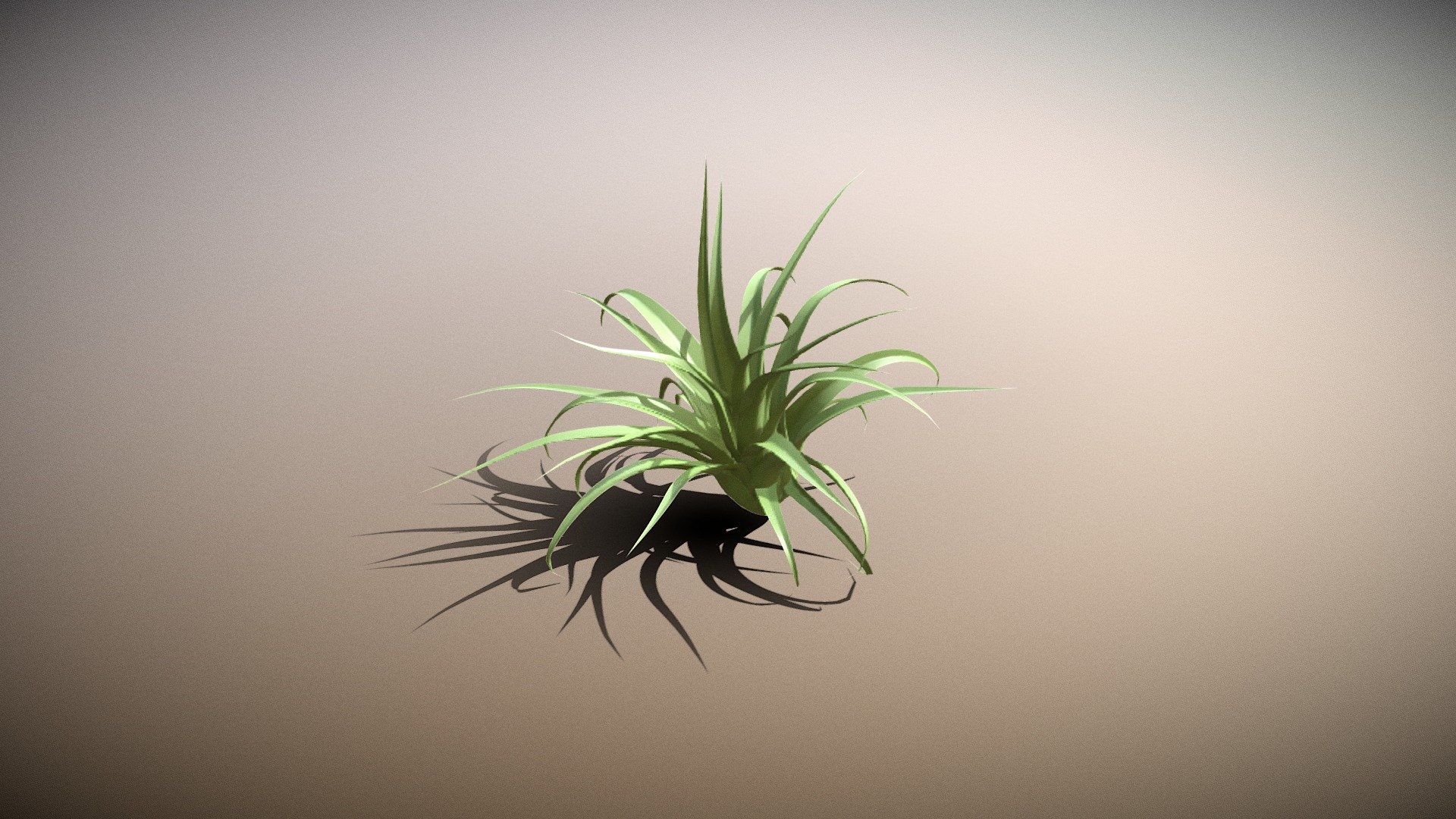 Air Plant v1.0 Download Free 3D model by YouniqueĪdeaStudio (sinnervoncrawsz) [22ceb29