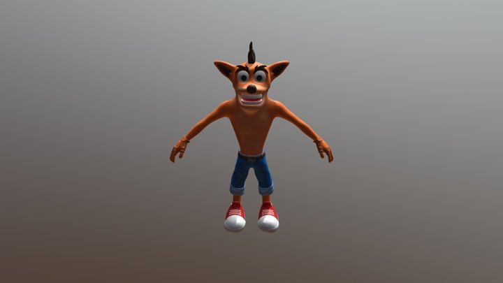Crash 3D Model