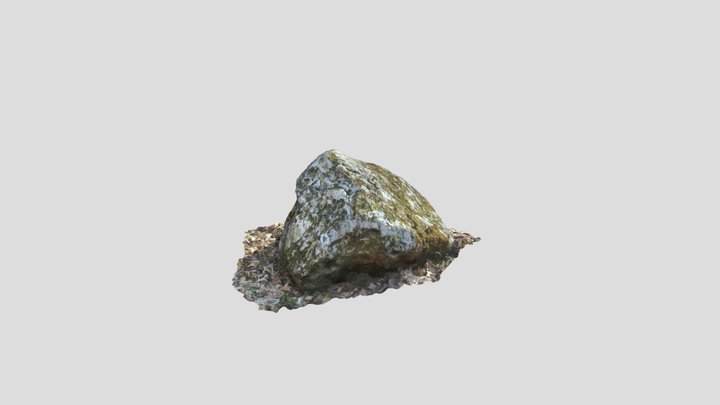 Rock 3D Model