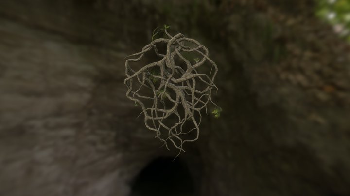 Shield of Roots 3D Model