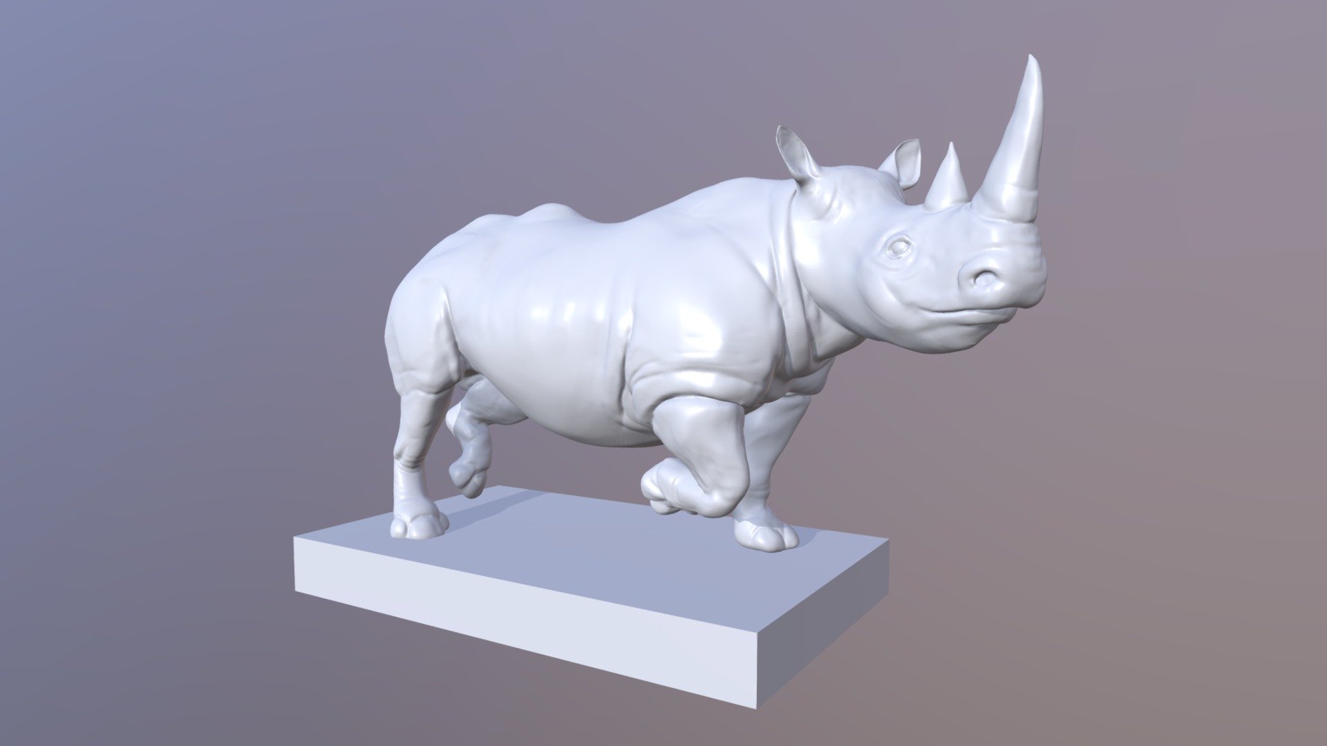 Rhinoceros