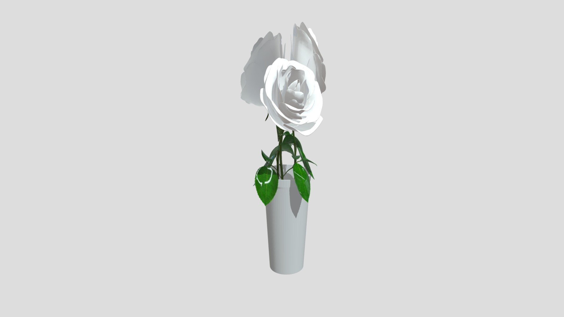 White Roses2
