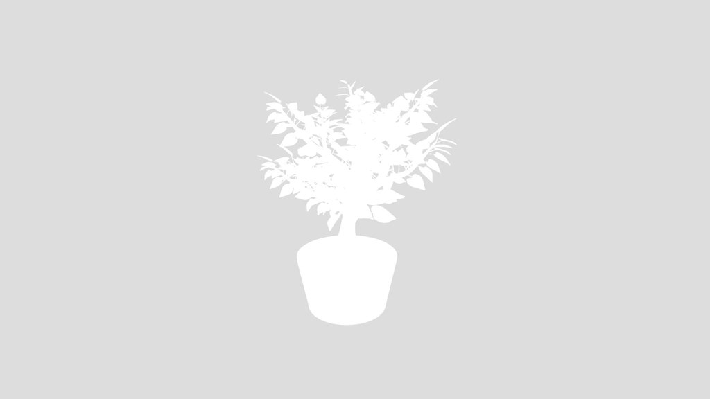 Bonsai Plant In Pot