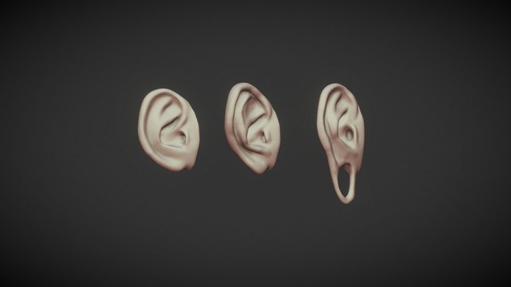 Free sample of 3 EARS with highpoly lowpoly 3D Model
