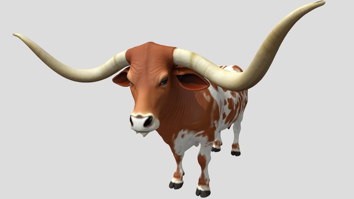 Texas Longhorn cow – Gratis 3D-model STL