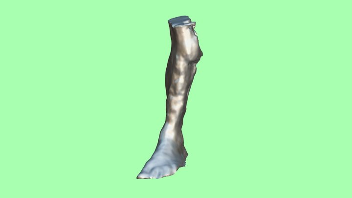 Leg 1 (all Pics)B 3D Model