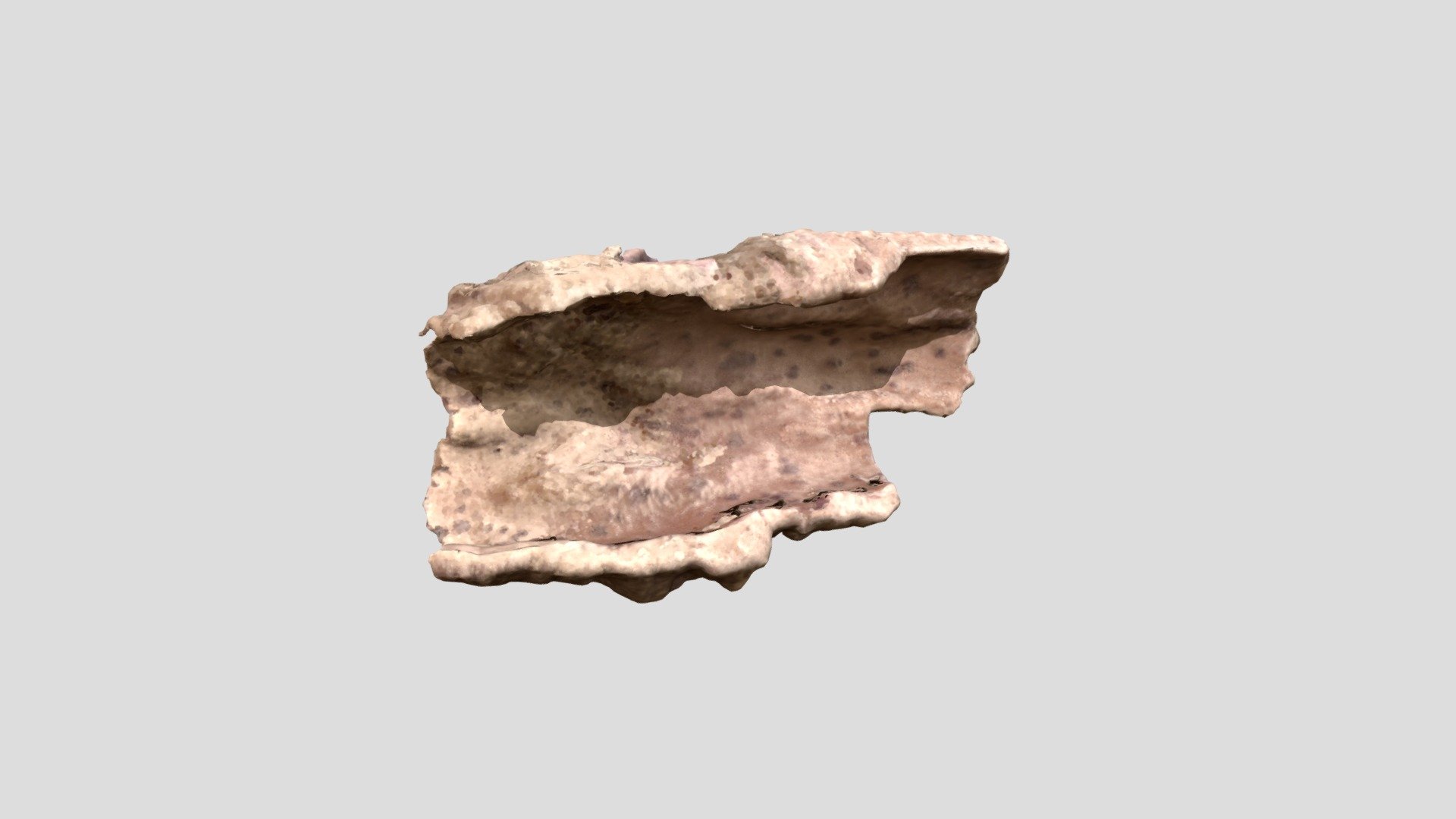 Concave Bark