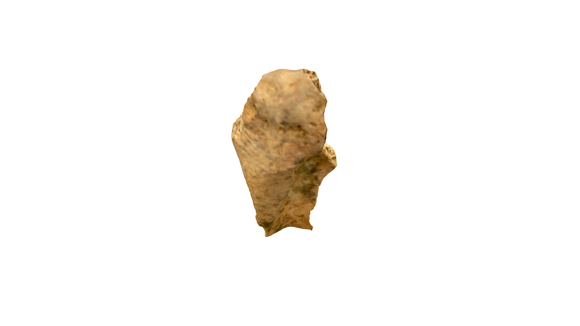 Qasr Hallabat cistern scapula 2