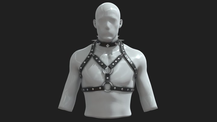 Cloth 2 3D Model