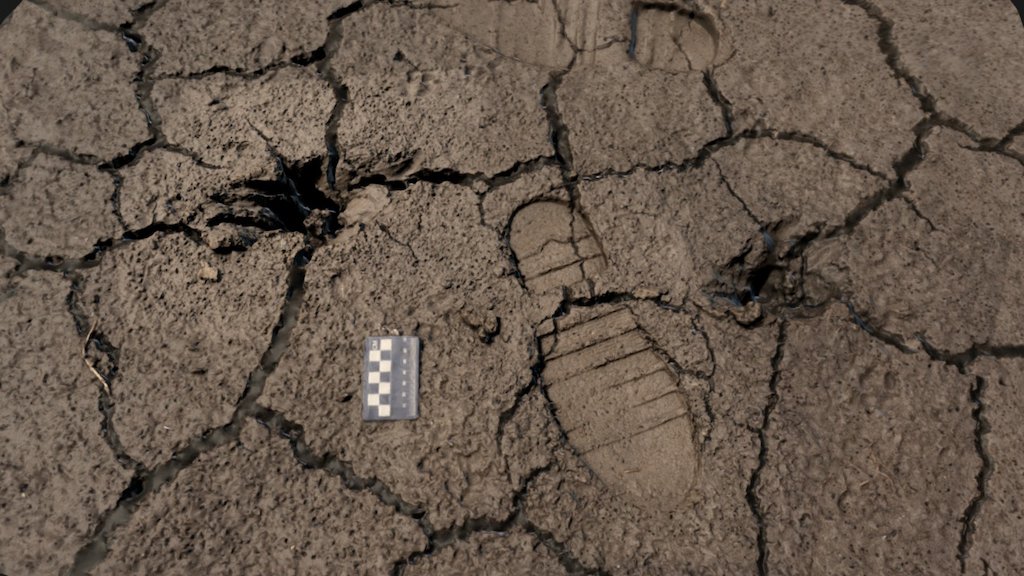 Deep dog and shallow human tracks