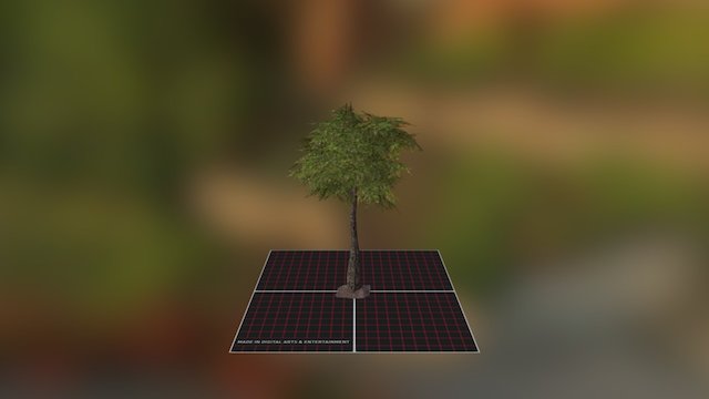 Tree 3D Model