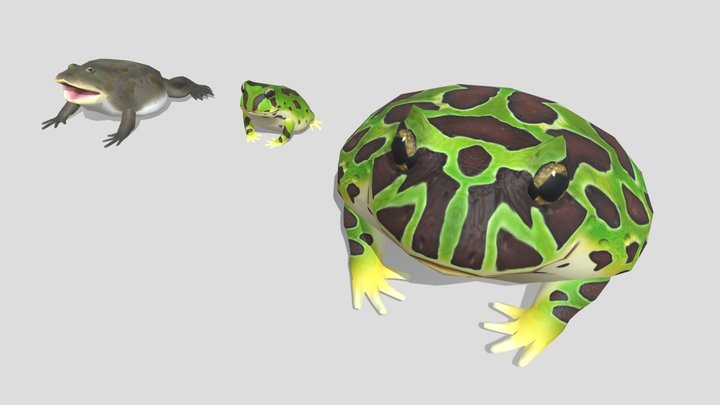 3 kinds of horned frog 3D Model