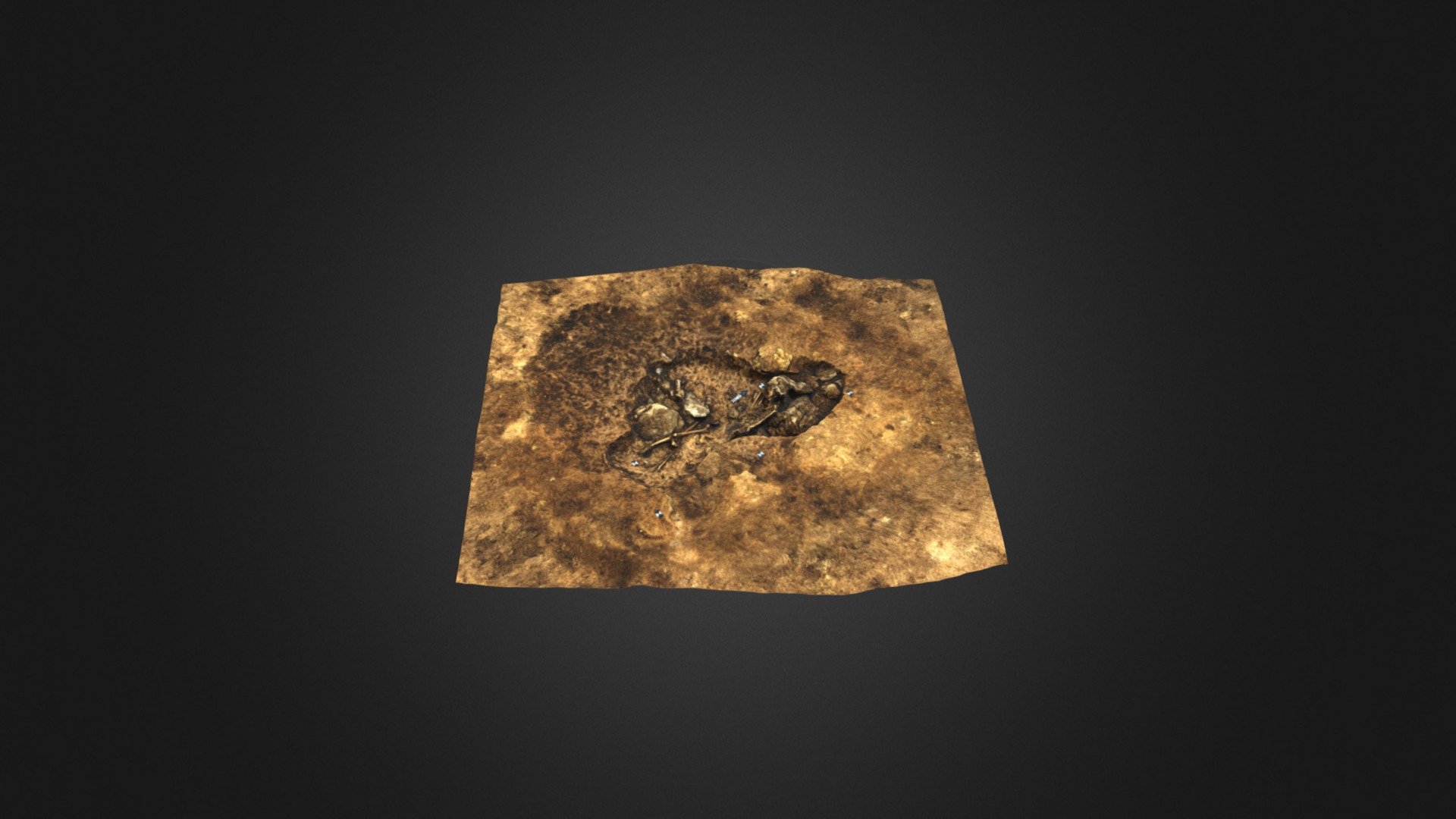 Shankill1_Skeleton
