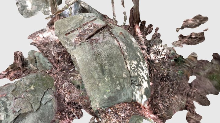 川上石丁場45、46番石材（佐賀城石丁場） 3D Model