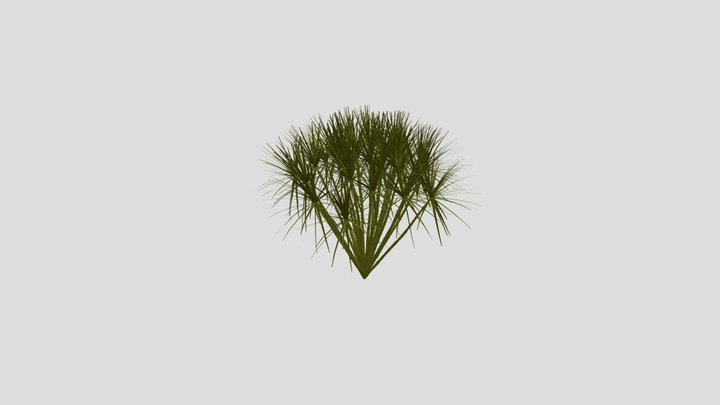 papyrus plant 3D Model