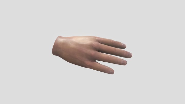 HAND_NEW 3D Model