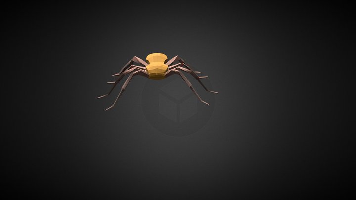 Simple spider model & animation 3D Model