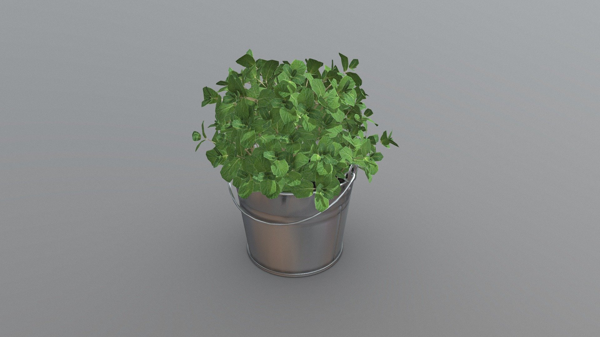 Muntplant