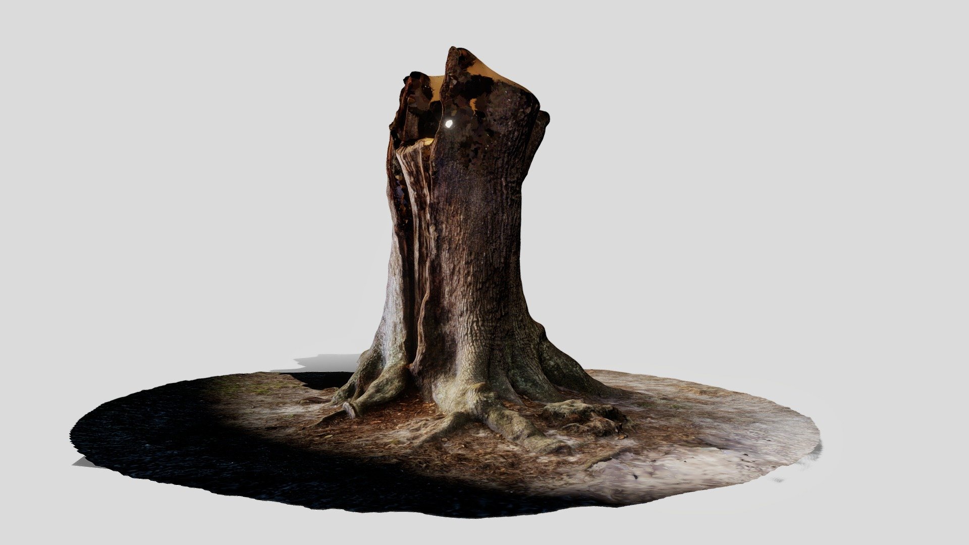 Alpine-groves-thcc-oak-001