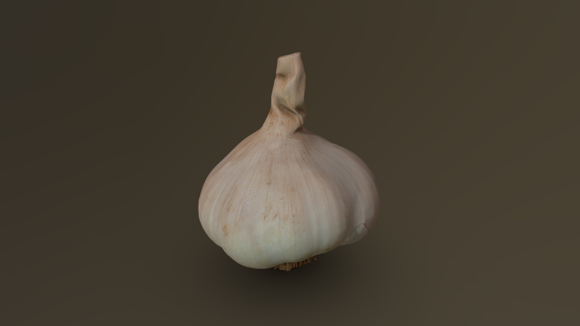 3D model Dried Garlic Head 01 - This is a 3D model of the Dried Garlic Head 01. The 3D model is about a white garlic on a black background.