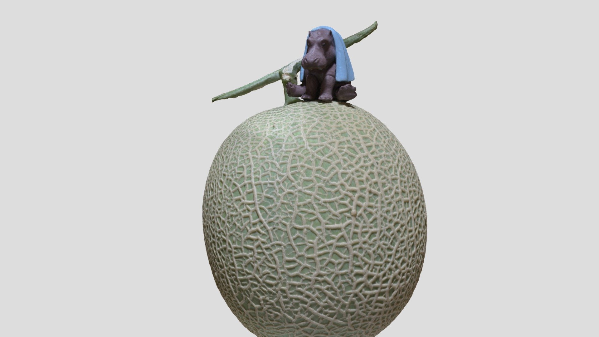 Hippo Melon