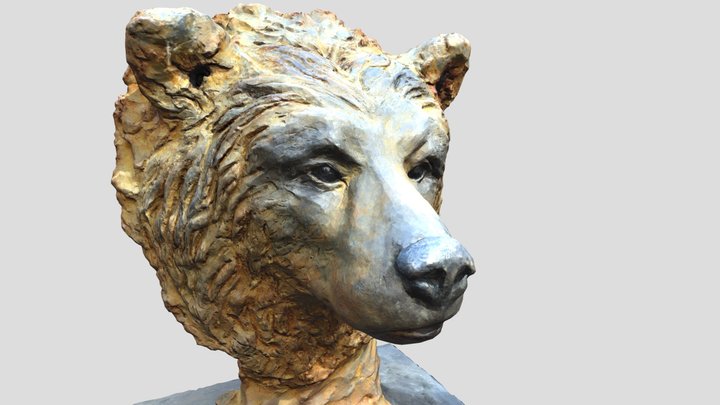 BEAR HEAD 3D Model