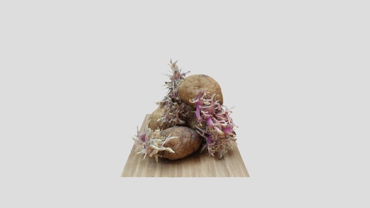 Potato Growths - stacked 3D Model