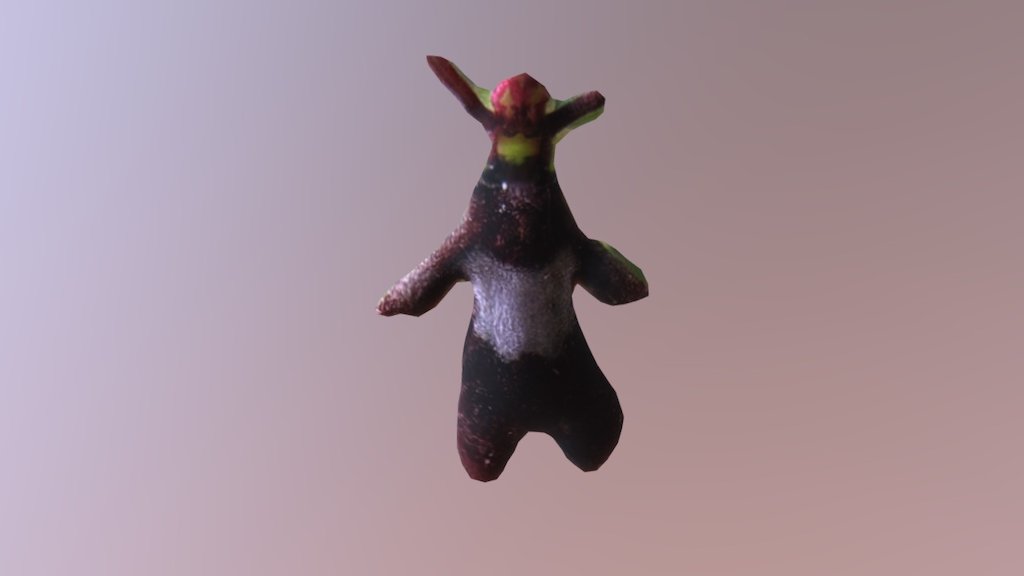 FlyOrchid
