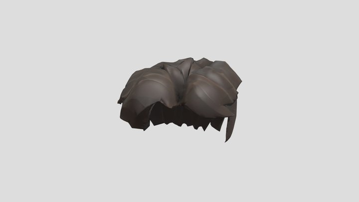 Brown floof hair 3D Model