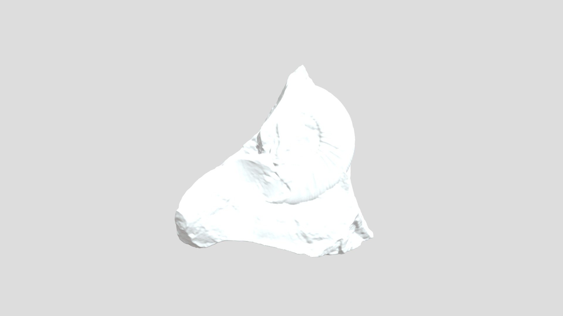 Ammonite Molinos section