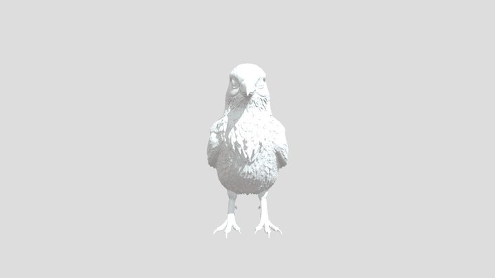 Raven's Perch 3D Model
