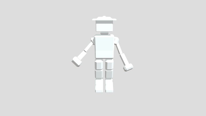 Player 3D Model