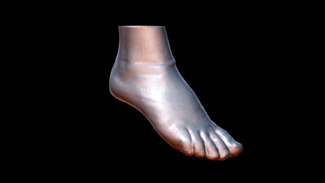 # 044 Right Foot Skin 3D Model