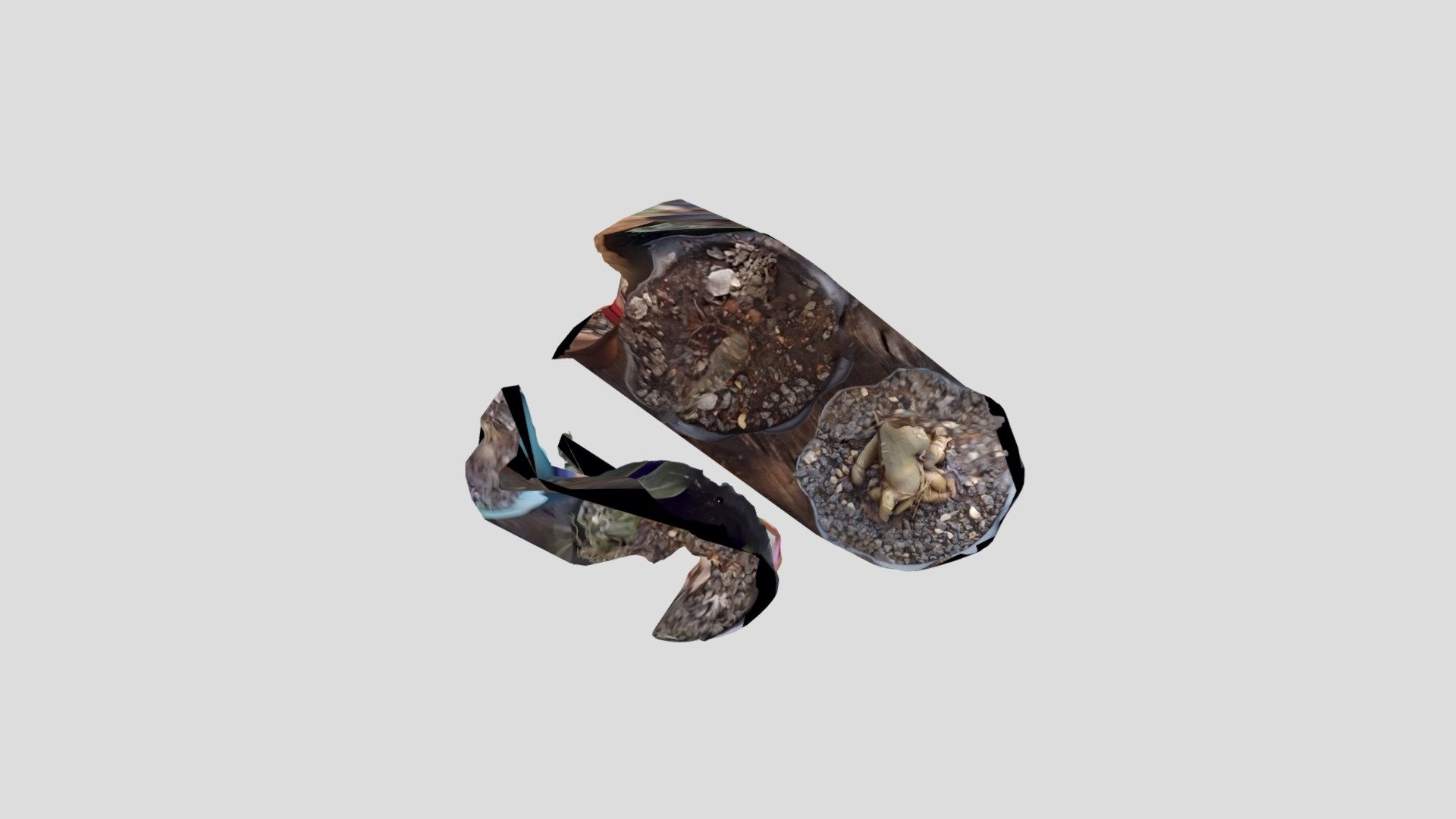 rosa deserto — Sketchfab embed 3D viewer