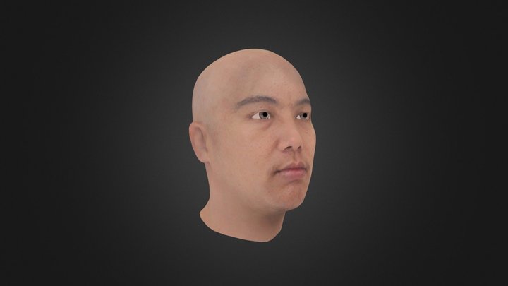 634230002 My Head Modle 3D Model