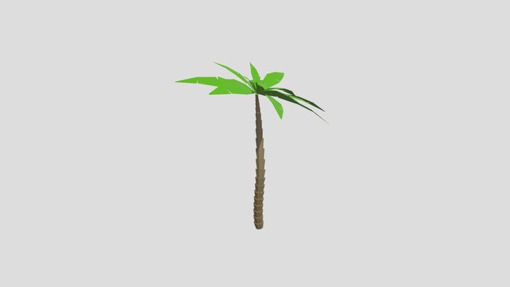 Palm Tree Low Poly 3D Model