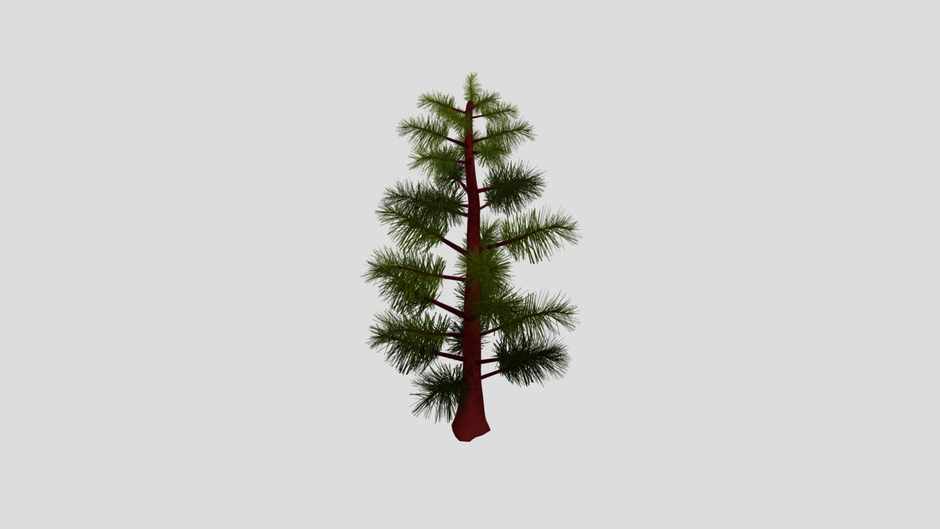 Fibers1 Pine tris TREE
