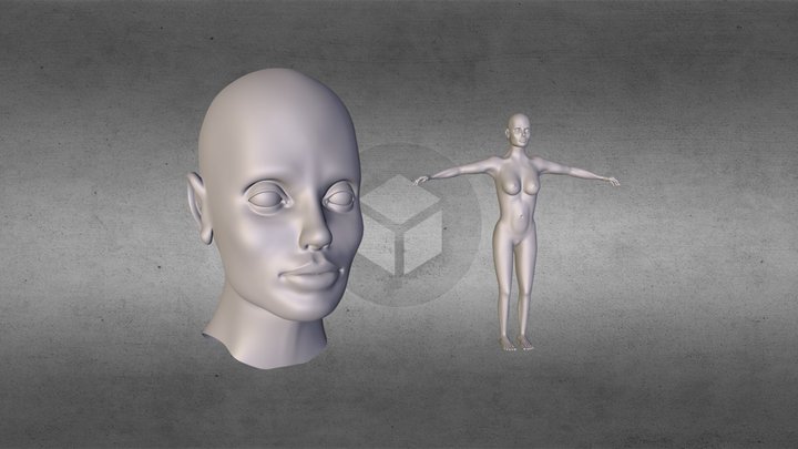 X³ - Female SD² - Head and Full 3D Model