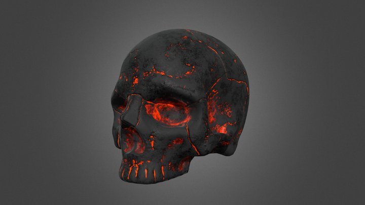 Skull Practice 3D Model