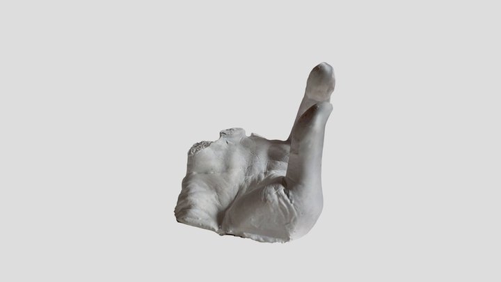 Right hand cast 3D Model