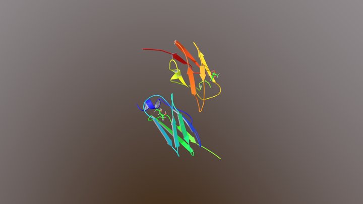 Collade 3D Model
