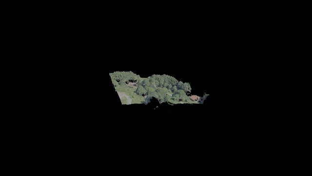 Vallombrosa Forest 3D Model